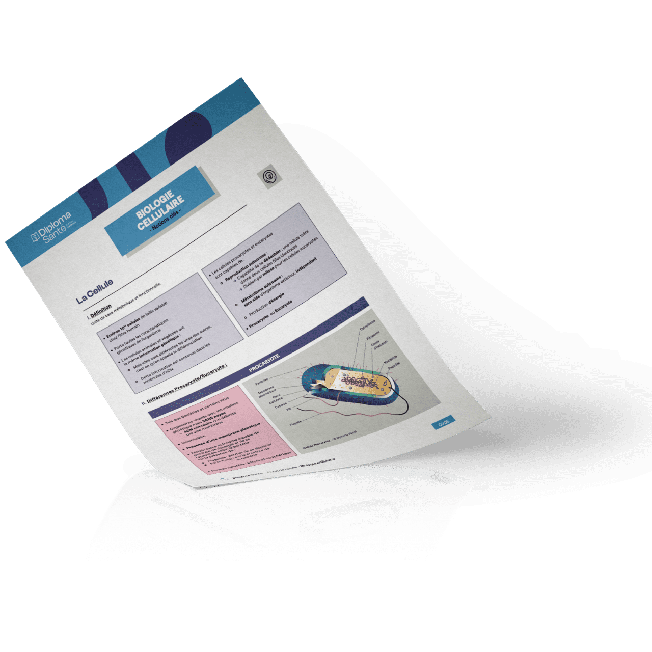 Prépa médecine d’excellence à Paris