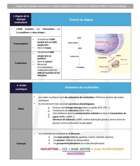 Fiches de cours PASS-LAS